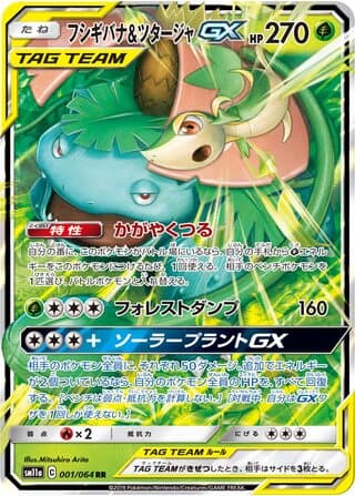 Venusaur & Snivy-GX